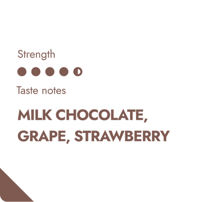 COLOMBIA COFFEEBREWER-1