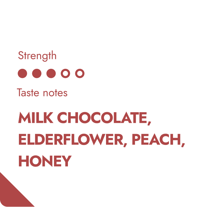 COSTA RICA SPECIALTY COFFEE BEANS-1