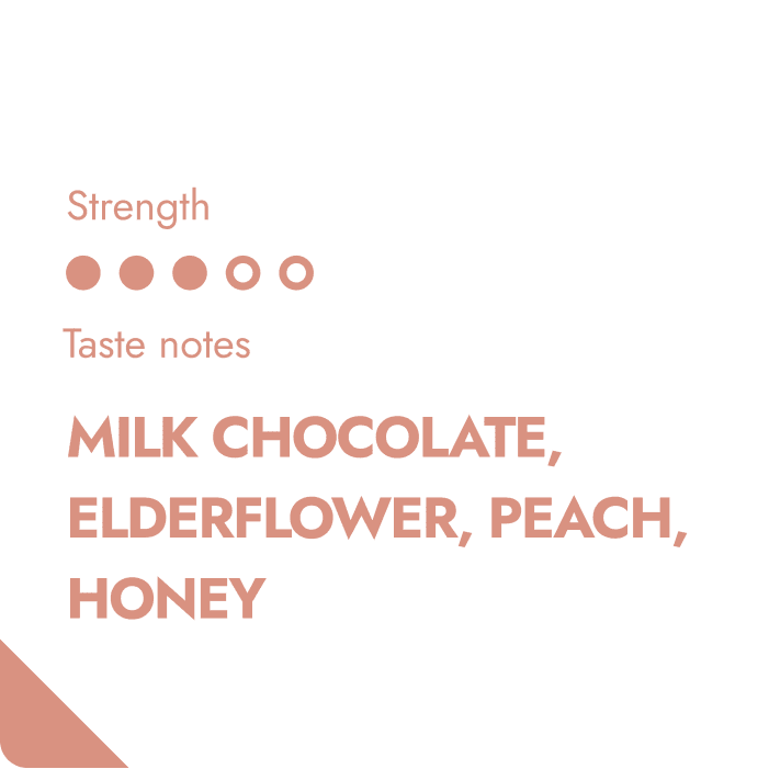 HONDURAS SPECIALTY COFFEE BEANS-1