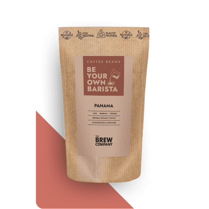 NICARAGUA SPECIALTY COFFEE BEANS-2